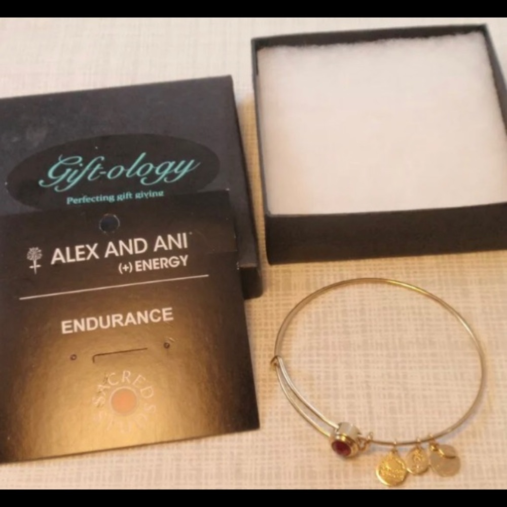 Alex and Ani Chakra Bracelet